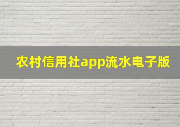 农村信用社app流水电子版