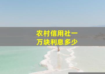 农村信用社一万块利息多少