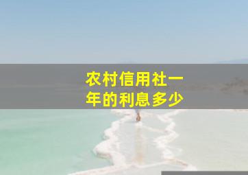 农村信用社一年的利息多少