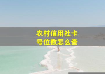 农村信用社卡号位数怎么查