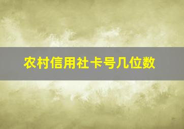 农村信用社卡号几位数