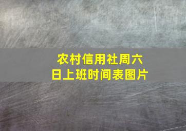 农村信用社周六日上班时间表图片