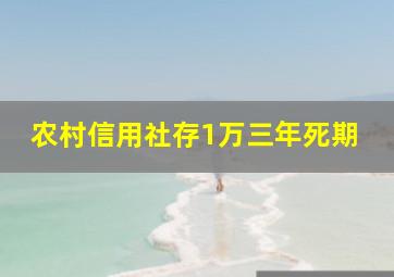 农村信用社存1万三年死期