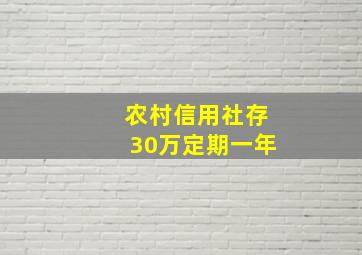 农村信用社存30万定期一年