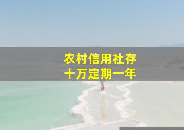 农村信用社存十万定期一年