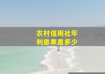 农村信用社年利息率是多少