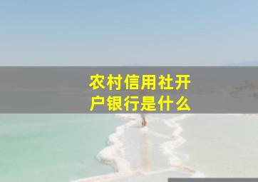 农村信用社开户银行是什么