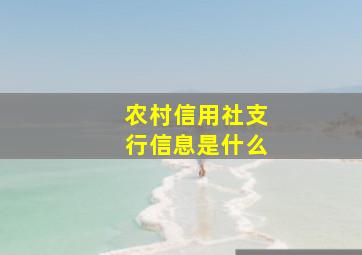 农村信用社支行信息是什么