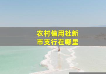 农村信用社新市支行在哪里