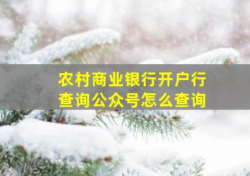 农村商业银行开户行查询公众号怎么查询