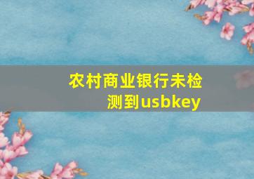 农村商业银行未检测到usbkey