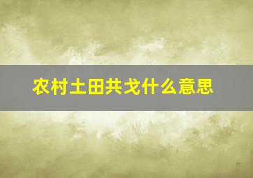 农村土田共戈什么意思