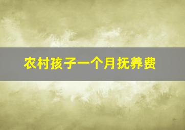 农村孩子一个月抚养费