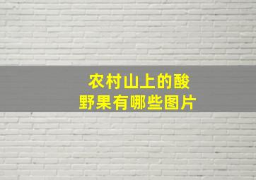 农村山上的酸野果有哪些图片