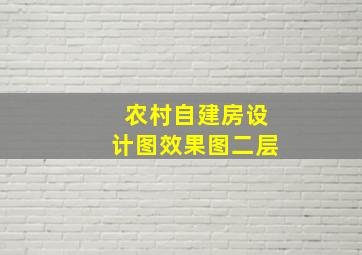 农村自建房设计图效果图二层