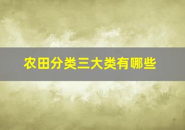 农田分类三大类有哪些