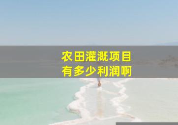 农田灌溉项目有多少利润啊