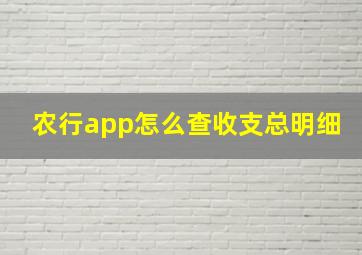 农行app怎么查收支总明细