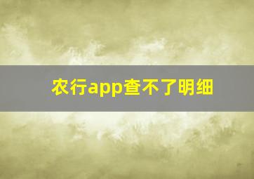 农行app查不了明细