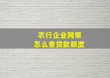 农行企业网银怎么查贷款额度