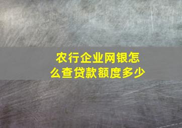 农行企业网银怎么查贷款额度多少