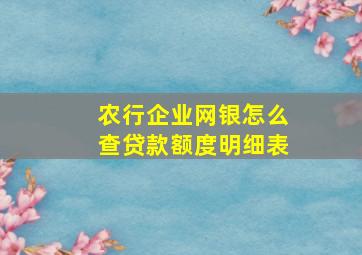 农行企业网银怎么查贷款额度明细表