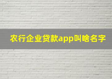 农行企业贷款app叫啥名字