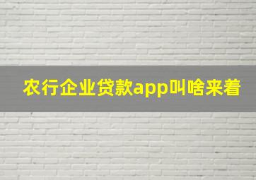 农行企业贷款app叫啥来着