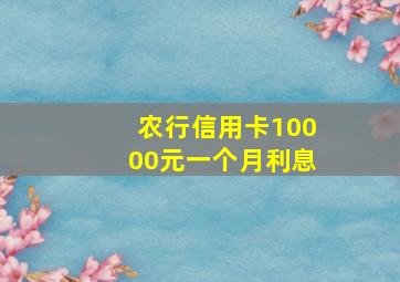 农行信用卡10000元一个月利息