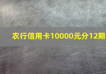 农行信用卡10000元分12期