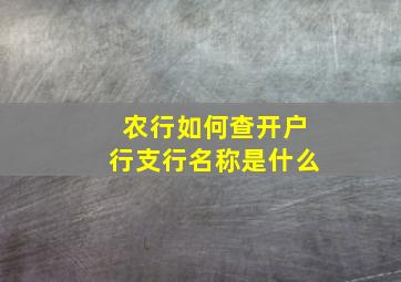 农行如何查开户行支行名称是什么