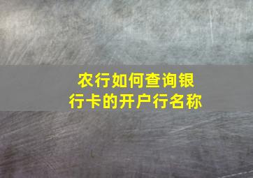 农行如何查询银行卡的开户行名称