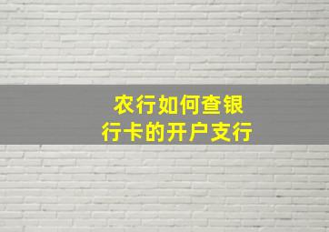 农行如何查银行卡的开户支行