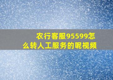 农行客服95599怎么转人工服务的呢视频