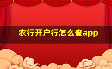 农行开户行怎么查app