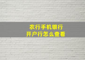 农行手机银行开户行怎么查看