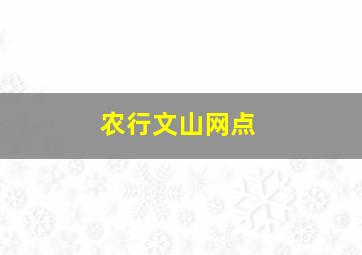 农行文山网点