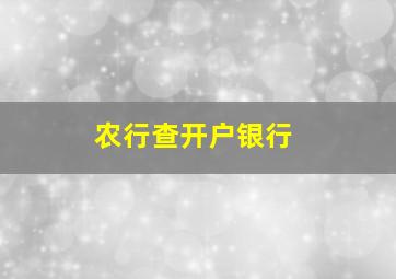 农行查开户银行