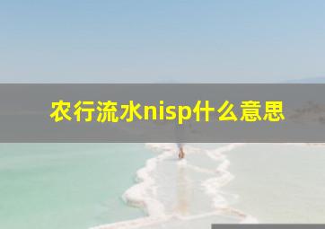 农行流水nisp什么意思