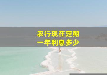 农行现在定期一年利息多少