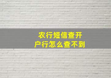 农行短信查开户行怎么查不到