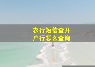 农行短信查开户行怎么查询