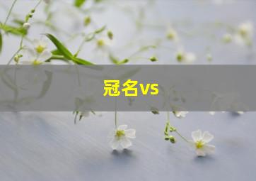 冠名vs