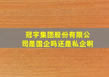 冠宇集团股份有限公司是国企吗还是私企啊