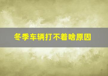 冬季车辆打不着啥原因