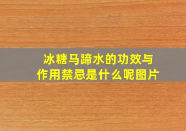 冰糖马蹄水的功效与作用禁忌是什么呢图片