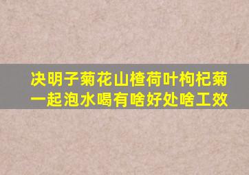 决明子菊花山楂荷叶枸杞菊一起泡水喝有啥好处啥工效