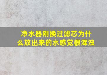 净水器刚换过滤芯为什么放出来的水感觉很浑浊