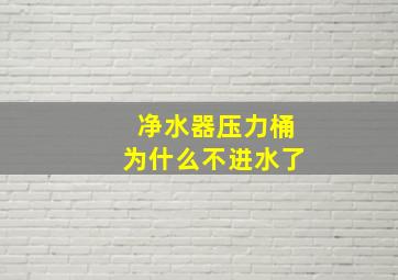 净水器压力桶为什么不进水了