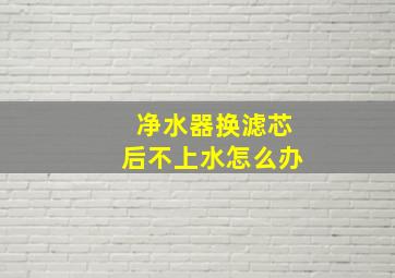 净水器换滤芯后不上水怎么办